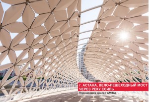 Порошковое окрашивание AMIKA