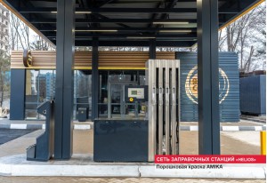 Порошковое окрашивание AMIKA